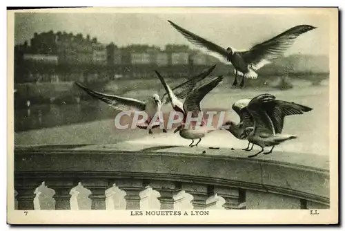 Ansichtskarte AK Lyon Les Mouettes