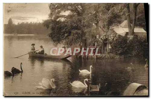 Cartes postales Lyon Parc de la Tete d or Cygnes