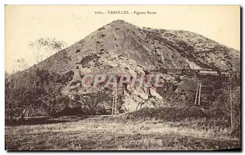 Cartes postales Carolles Pignon Butor Train