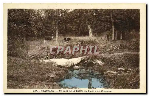 Cartes postales Carolles Un Coin de la Vallee du Lude La croisette Vaches