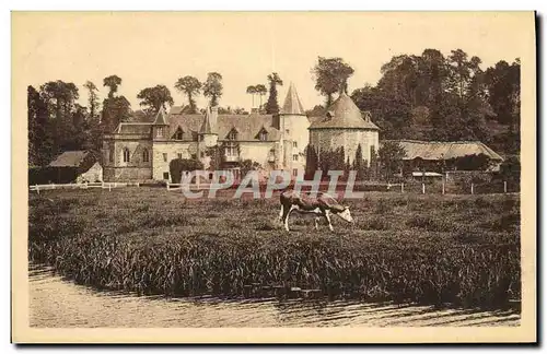 Cartes postales Environs de St Le chateau de Vaucelles Vaches Colombier