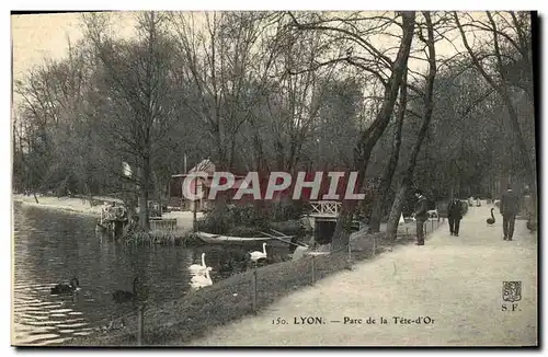 Cartes postales Lyon Parc de la Tete d Or Cygnes