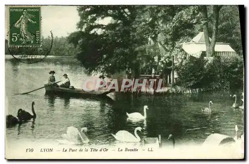 Cartes postales Lyon Le Parc de la Tete d Or La Buvette Cygnes