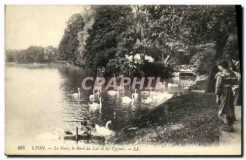 Ansichtskarte AK Lyon Le Parc le Bord du Lac et les Cygnes