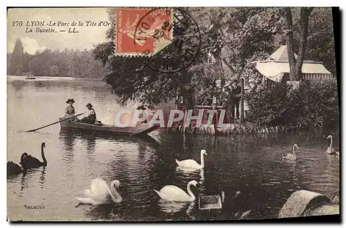 Cartes postales Lyon Le Parc de la Tete d Or La Buvette Cygnes