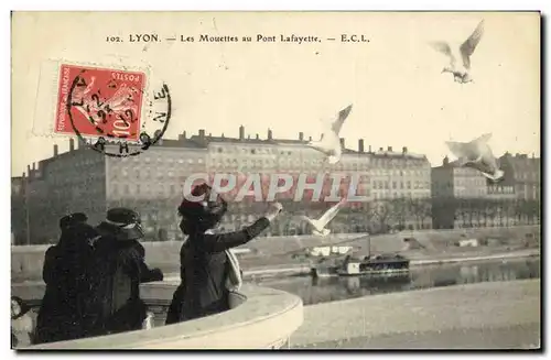 Cartes postales Lyon Les Mouettes au Pont Lafayette Oiseaux