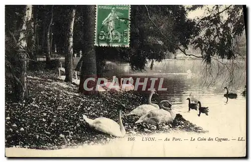 Cartes postales Lyon Au Parc Le Coin des Cygnes