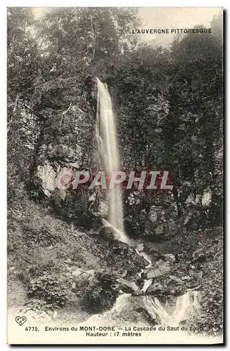 Ansichtskarte AK Environs du Mont Dore La Cascade du Saut du Loup