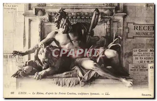 Cartes postales Lyon Le Rhone d apres les Freres Coustou sculpteurs lyonnais Lion