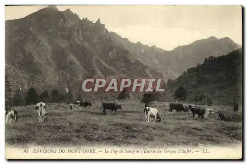 Ansichtskarte AK Environs Du Mont Dore Le Puy de Sancy et l entree des gorges d enfer Vaches