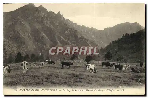 Cartes postales Environs Du Mont Dore Le Puy de Sancy et l entree des gorges d enfer Vaches