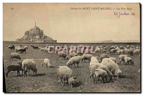 Ansichtskarte AK La Mont Saint Michel Les Pres Sales Moutons