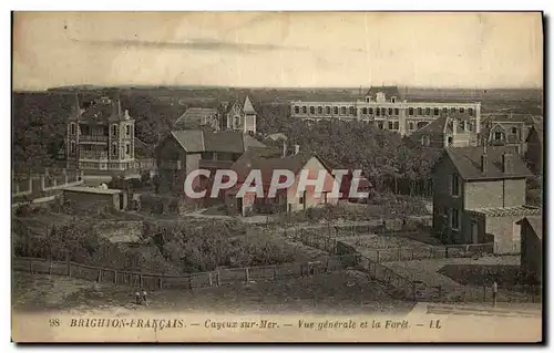 Cartes postales Brighton Fancais Cayeux Sur Mer Vue generale et la foret