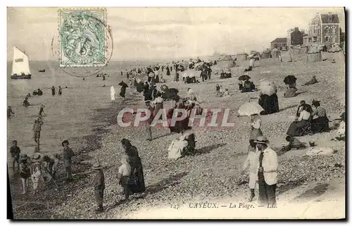 Cartes postales Cayeux La Plage