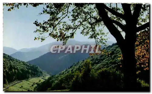 Cartes postales moderne Les Vosges Pittoresques La route des Cretes