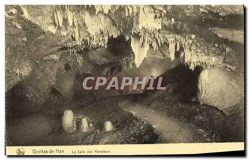 Cartes postales Grottes de Han La Salle des Mamelons