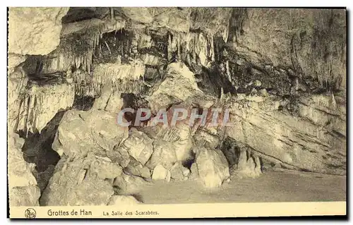 Cartes postales Grottes de Han La Salle des Scarabees Insectes