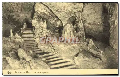 Cartes postales Grottes de Han La Salle Vigneron