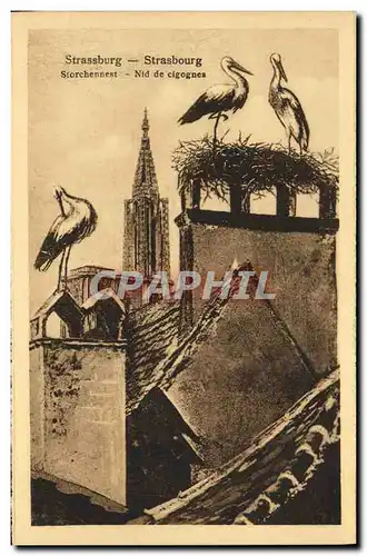 Cartes postales Strassburg Nid de Cigognes