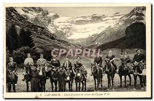 Cartes postales Gavarnie Une Caravane en retour du Cirque Anes Mules