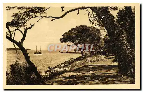 Cartes postales Ile Saint Honorat Bateau de Service Pres d arriver a l ile