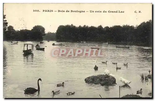 Ansichtskarte AK Paris Bois de Boulogne Un Coin du Grand Lac