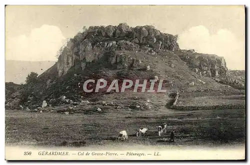 Cartes postales Gerardmer Col de Grosse Pierre Paturages Vaches