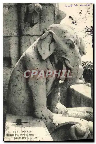 Cartes postales Paris Eglise Notre Dame Chimere Elephant