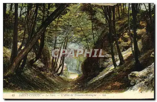 Cartes postales Saint Cloud Le parc L Allee de Tranche Montagne