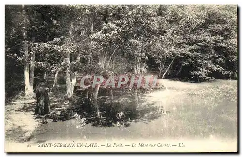 Cartes postales Saint Germain En Laye La Foret La Mare Aux cannes