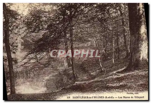 Ansichtskarte AK Saint Leger en Yvelines Les Mares de Villepert