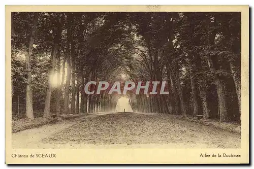 Ansichtskarte AK Chateau de Sceaux Allee de la Duchesse