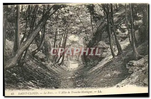 Cartes postales Saint Cloud Le Parc L Allee de Tranche Montagne