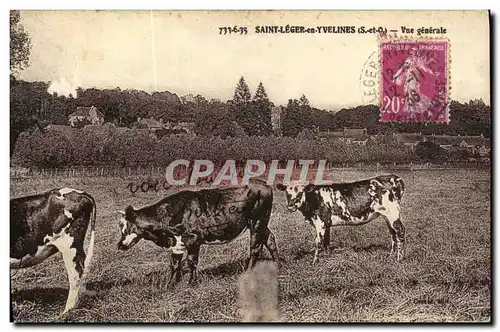 Cartes postales St Leger En Yvelines Vue Generale Vaches