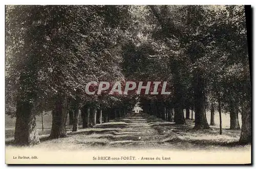 Cartes postales Saint Brice Sous Foret Avenue du Luat