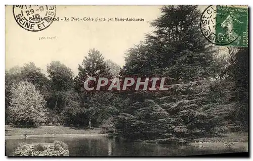 Ansichtskarte AK Saint Cloud Le Parc Cedre Plante par Marie Antoinette