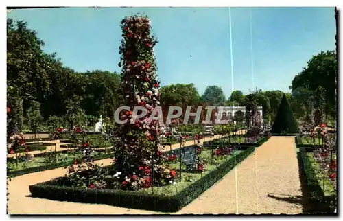 Cartes postales moderne Paris Bagatelle La Roseraie