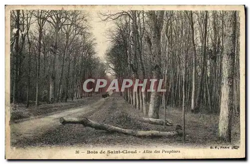 Cartes postales Saint Cloud Bois Allee des Peupliers