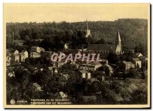 Cartes postales Esneux Panorama vu de Beaumont