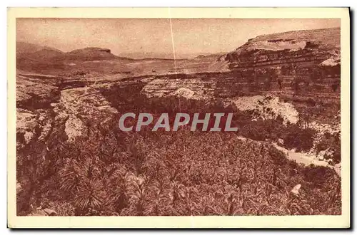 Cartes postales Aures Palmeraie de Roufi