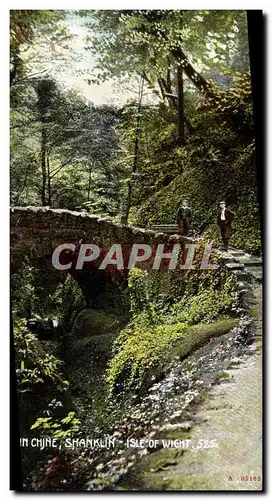 Cartes postales Stone bridge in chine Shanklin Isle of Wight