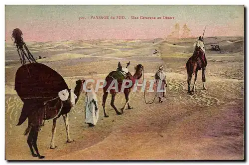 Cartes postales Paysage du Sud Une Caravane au Desert Chameaux