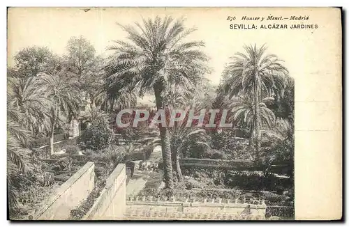 Cartes postales Sevilla Alcazar Jardines