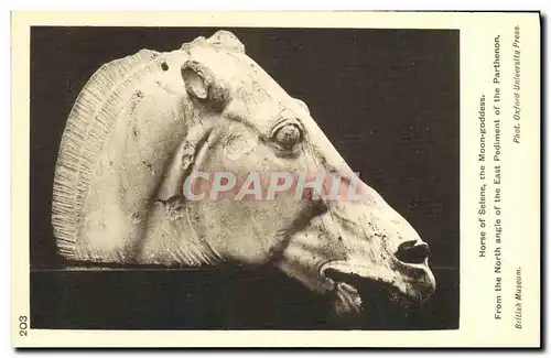 Cartes postales Horse of Selene the Moon goodess From the North angle of the East Pediment of the Parthenon Brit