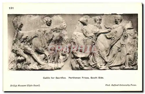 Cartes postales Cattle for Sacrifice Parthenon Frieze South Side British Museum