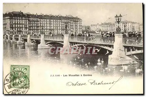 Cartes postales Geneve Les mouettes