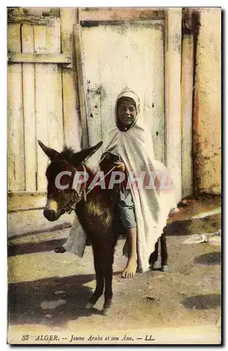 Cartes postales Alger Jeune Arabe et Son Ane