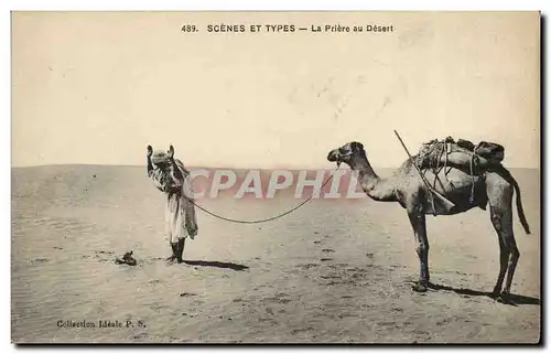 Ansichtskarte AK Scenes Et Types La Priere du Desert Chameau