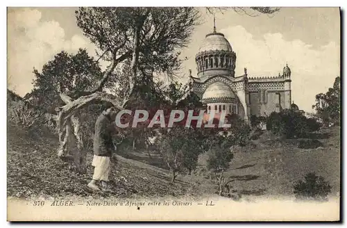 Cartes postales Alger Notre Dame d Afrique entre les oliviers