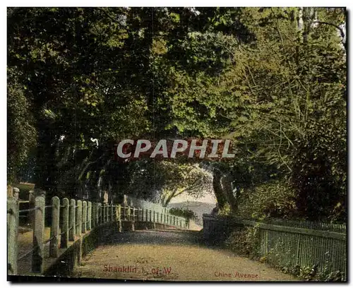 Ansichtskarte AK Shanklin Isle of Wight Chine Avenue